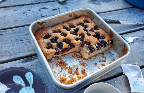 There is a season: A blueberry schnecken for when the family shows up for tea